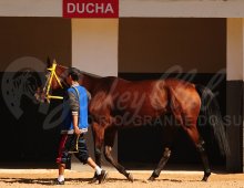 09.07 Corridas &raquo; 09.07 Corridas &raquo; 180424